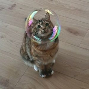 Meet your Posher, Miguel